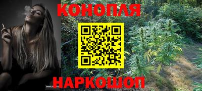 mdpv Малоярославец