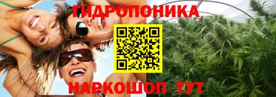 шишки Мариинск