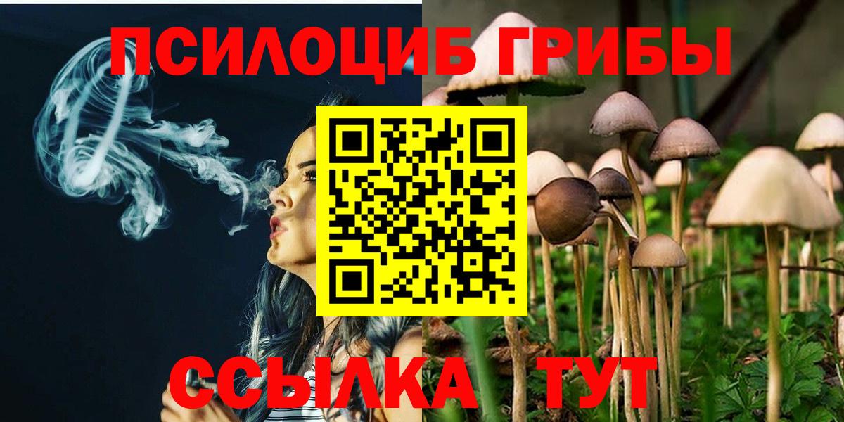 Псилоцибиновые грибы MAGIC MUSHROOMS  Псилоцибиновые грибы ЛСД  Димитровград  Вход с VPN 